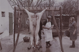 Schranz Felix Dürr Karoline u. Werner