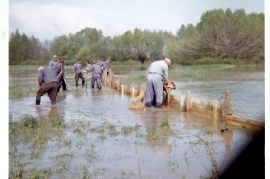 1965 113P Hochwasser