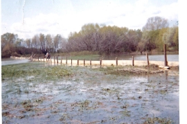 1965 115P Hochwasser