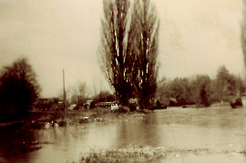 1955 Götz Mühle 334PM