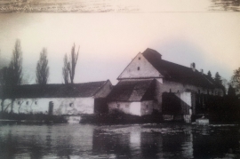 1950er Sommerfrische in Zurndorf am See 36HL