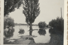 1950er Hochwasser 47GÖ