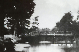 Steg-ueber-die-leitha