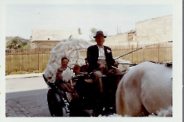 1961 H. Amri Firmung 101AH