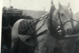 1954 Glockenweihe 3 50EK