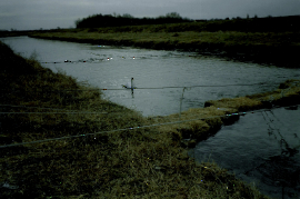 1990  Ölsperre an der Leitha 262FFTZ