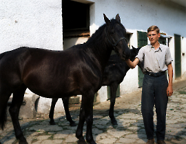 1947 Adam Meixner KI 16MEI