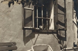 1927 P. Milleschitz 34MP