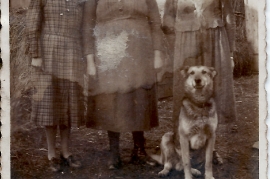 1937 ?, E. Beck, E. Beck 37PJ