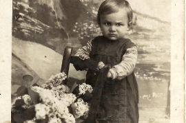 1930er P. Milleschitz 49MP