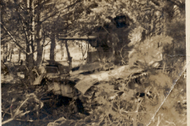 1945 Panzerreste im Eichenwald 10BB