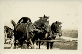 1940er  unbekannt 34DM