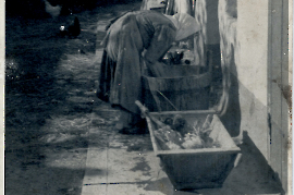 1944  Brautmutter putzte das Geflügel für die Hochzeitssuppe (Braut Frieda Kellermann) 93UP