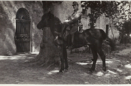 1940er Matthias Steinhöfer 94WS