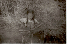 1950er Theresia Samek 104WS