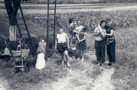 1950er Kirschenernte an der B10 J. Dürr (Resch), W. Dürr, L. Strobl, A. Sochr, H. Pamer 10RG