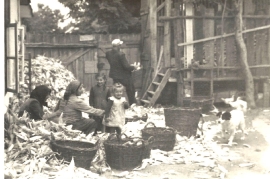 1953 Kukuruz hebeln 11M