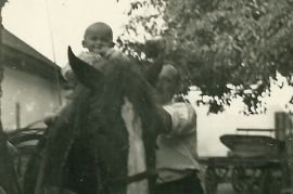 1950er H. Amri, J. Amri und Pferd Heda 15AH