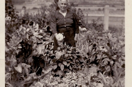 1950er unbekannt 17WB