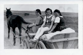 1950er Fr. Schildrein, G. Thell,?, am Pferdewagen 23NIT