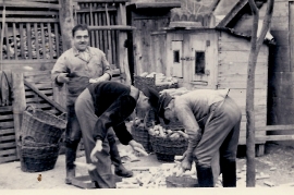 1953 J. Albrecht, P. Mayerhofer, J. Zeugner 37M