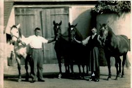 1953 Josef, Michael Hafner u. Pferde 53HAF