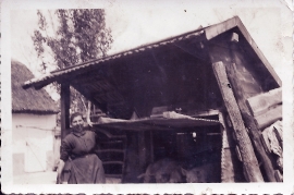 1950er Th. Rechnitzer 60M