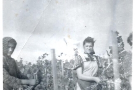 1950er Resi Tante, Fr. Nitschinger, im Weingarten 71NH