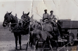 1950er J. Amri, K. Amri, H. Amri 73AH