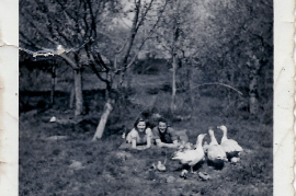 1954 beim Gänsehüten, E. Göbl, G. Schmitzhofer 89ME