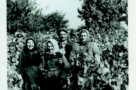 1950er Weinlese in Weiden Fam. Zeugner 94M