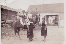 1950er vorne Mizzi Gredinger (geb. Schmidt), Maria Samek 98WS