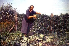 1963 K. Schmidt 10DW