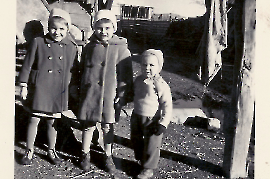 1961 E. Meixner, R. Falb, H. Meixner 118ME