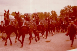 1970er Pferdegespann 124ME