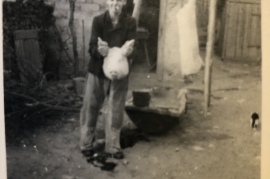 1970er Hans  Pamer 12SP