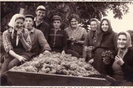 1960er Weinlese 14PM