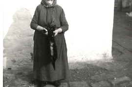 1960 Wagner Muam 15W