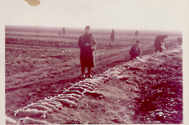 1963/64 E. Hofbauer Jagdpraktikant in Zurndorf, W. Macher Büchsenspanner 1HOE