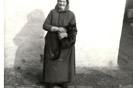 1960 Wagner Muam 22W