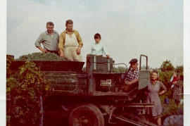 1970 Weinlese W. u. Josef Ranitsch, Sochr Paul und Gattin 28RW