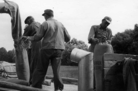 1960er Ernte mit dem 1. Mähdrescher 29HR