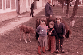 1965 E. Lengyel, I. Lengyel, ?, J. Lengyel 40LEN