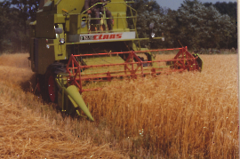 1970 J. Frank mit dem 2. Mähdrescher 52ZWE