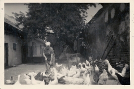 1960er Fr. Weiss 63WB