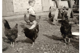 1967 G. Milleschitz im Hühnerhof 68MP