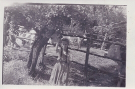 1960er R. Samek Kleinhäuslgasse 81WS