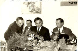1964 Gr. Sitzung A. Bauer, E. Toth, P. Ebner, A. Kammer 8P