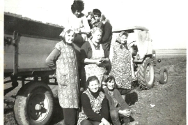 Weinlese Zechmeister Karoline, Fr. Ettl, Toth Mitzi, Toth Gerti