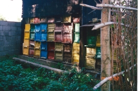 1980 Bienenhütte P. Milleschitz 85MP